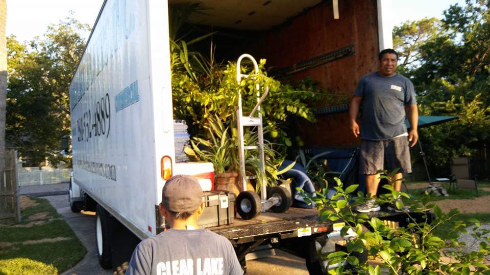 plant moving