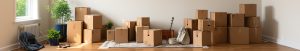 clear lake movers